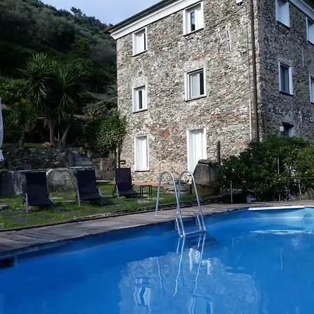 Nespolo * Levanto
