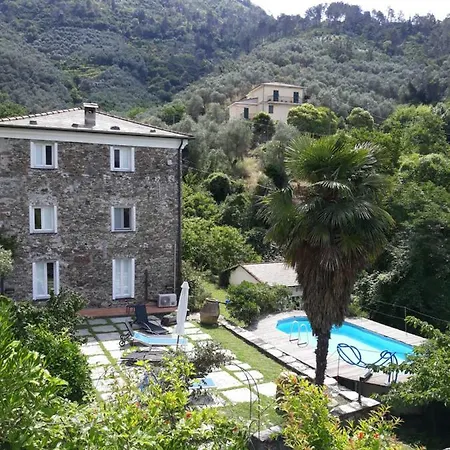 Nespolo *