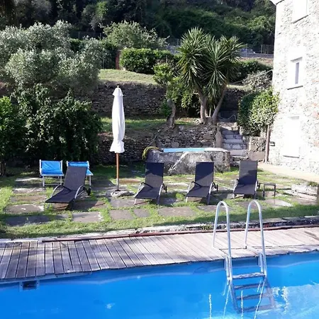 Nespolo * Levanto