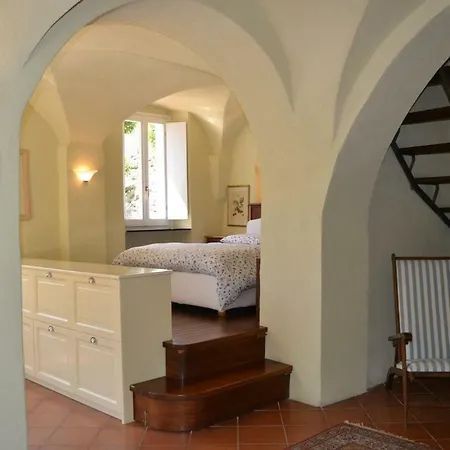 Nespolo *