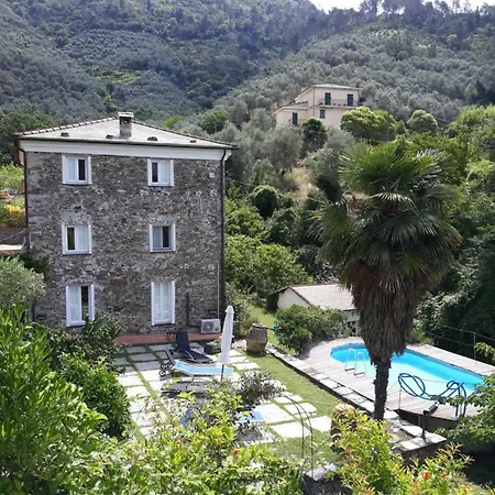 Nespolo Villa Levanto