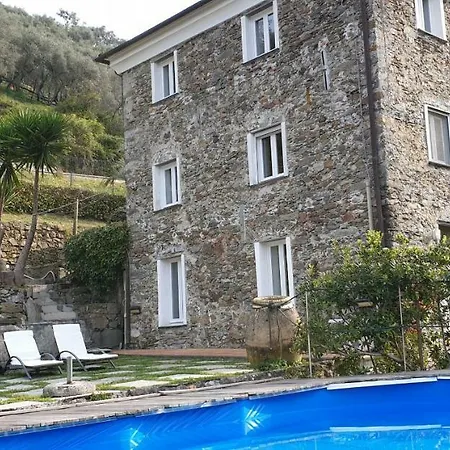 Nespolo